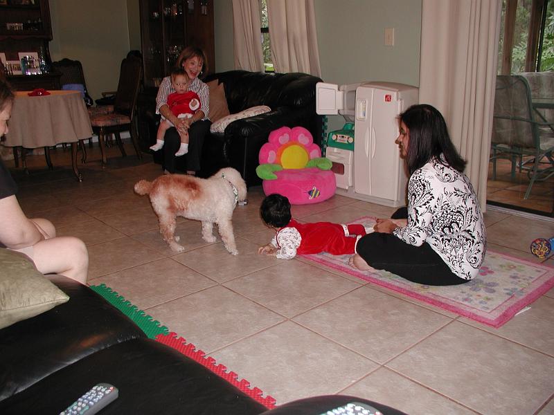 PC250076.JPG - You see Ginger, Hannah, Ruffy, Rohan and Devika