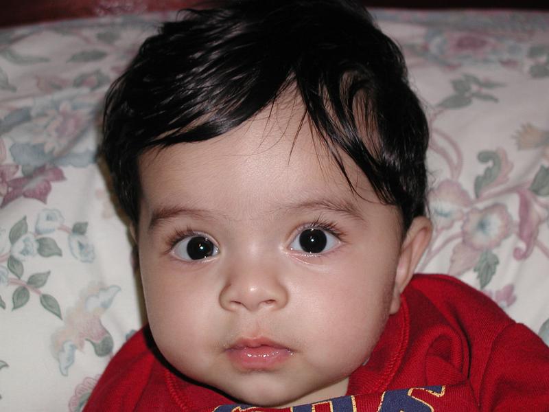 PB100037.JPG - Here is a close up of Rohan