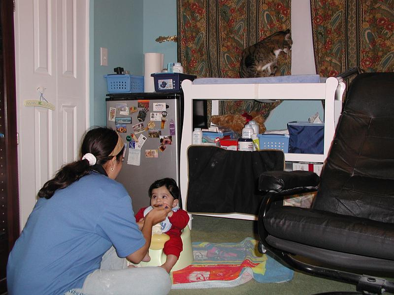 PB100048.JPG - DC is keeping an eye out to make sure Rohan is being fed properly