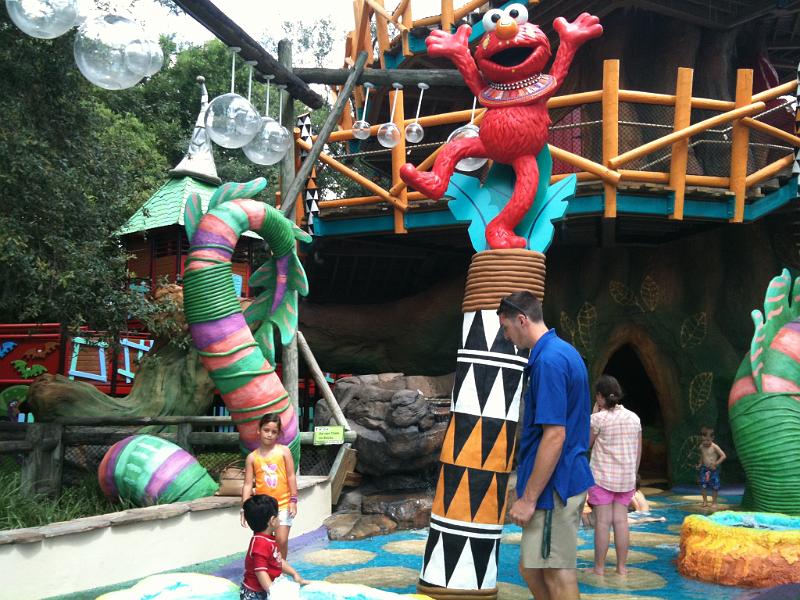 IMG_0297.JPG - In the swamp