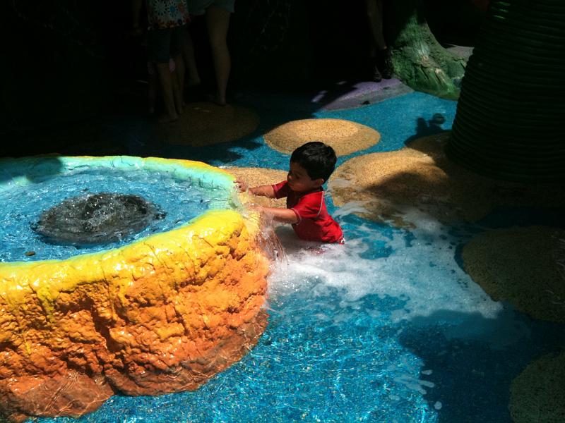 IMG_0304.JPG - In deeper water