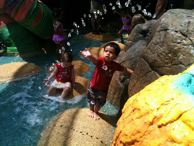 IMG_0312.JPG - Catching the water drops