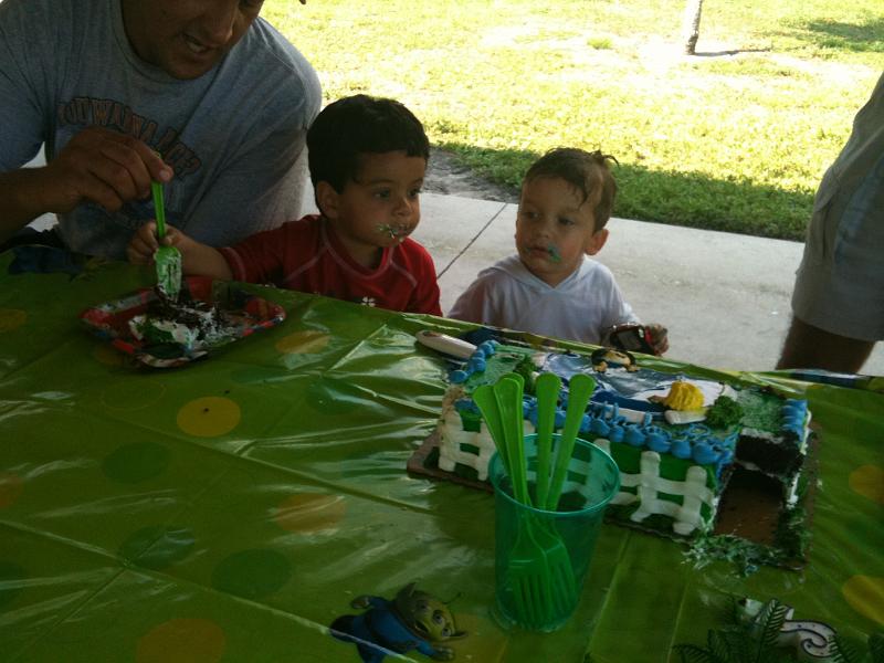 IMG_0337.JPG - Similar cake patterns