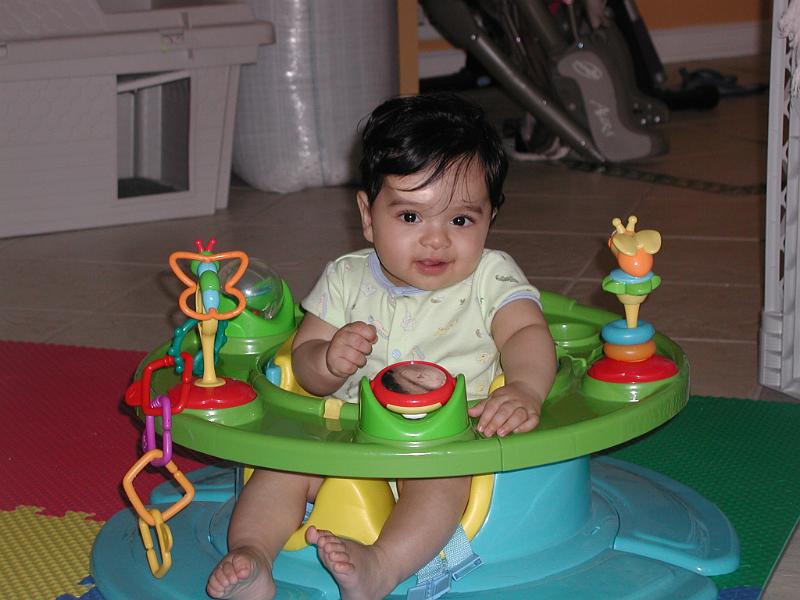 P1050001.JPG - This is Rohan - incase you did not know.