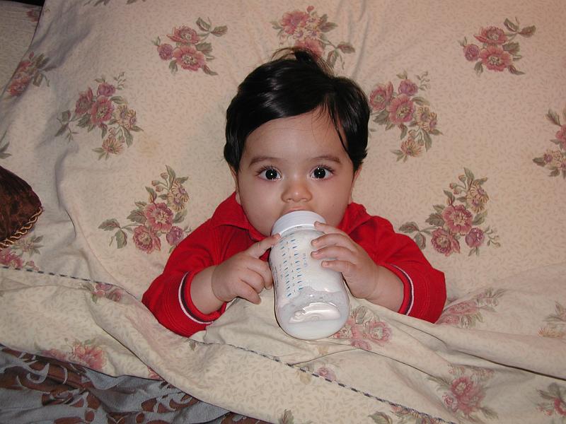 P1150012.JPG - He won't let go of the bottle until it is finished