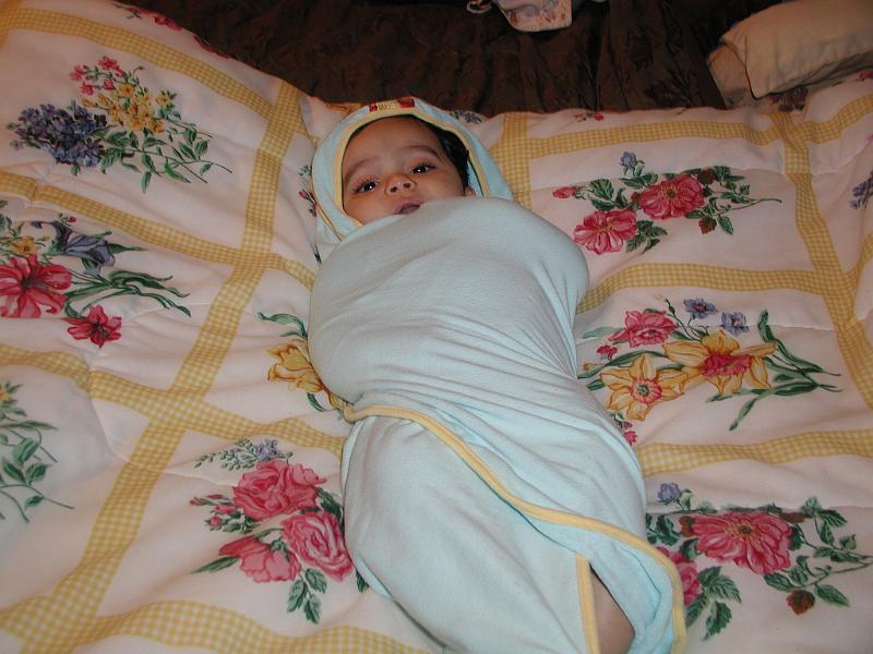 P1150013.JPG - He has just had his bath