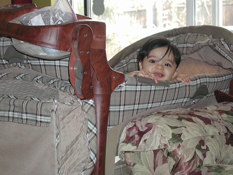 P2010017.JPG - Peek a boo