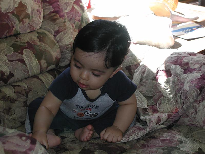 P2040021.JPG - Some interesting tidbit