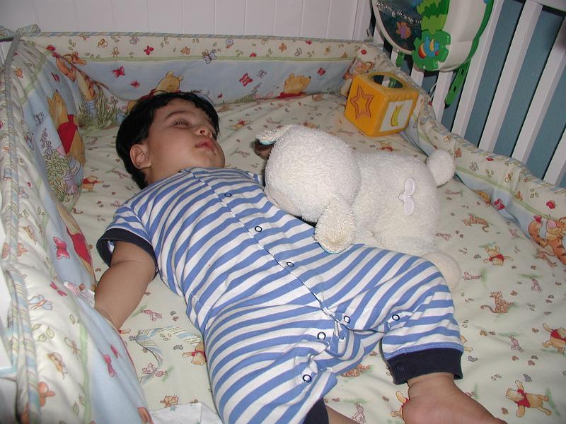 P2110029.JPG - Fast asleep in the crib