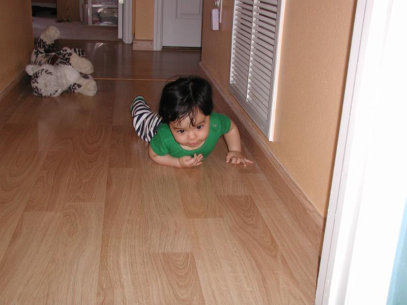 P2220071.JPG - Off he goes.