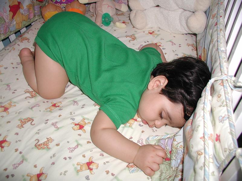 P3070086.JPG - Nope he is not acting. He really sleeps like this