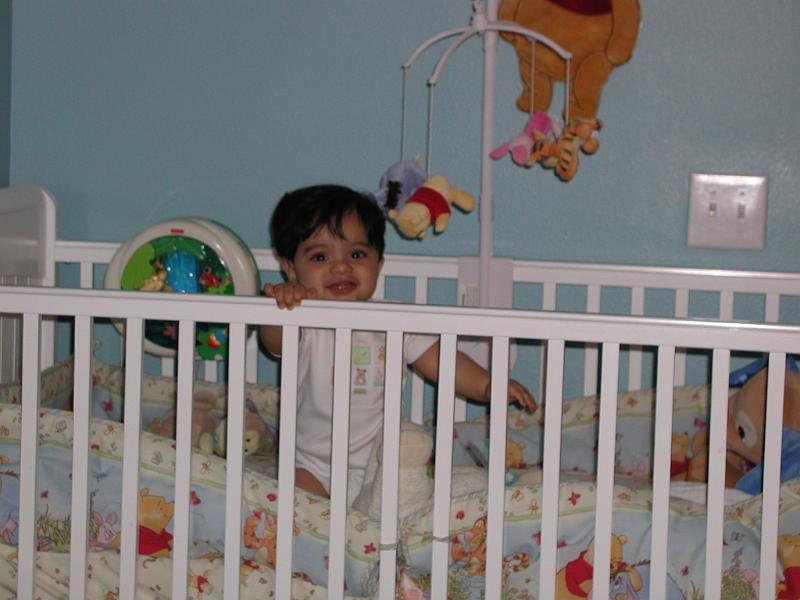 P3110090.JPG - I can see you. What is happening there