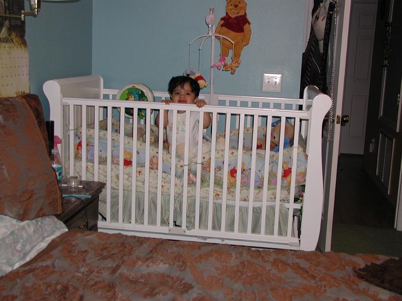 P3110091.JPG - I am watching