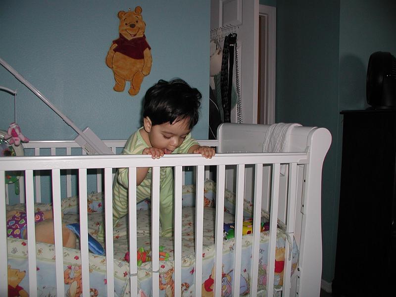 P3160094.JPG - The bed rail is very tasty