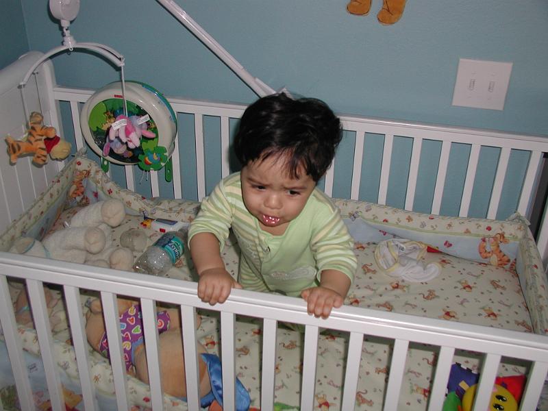 P3160095.JPG - Or not