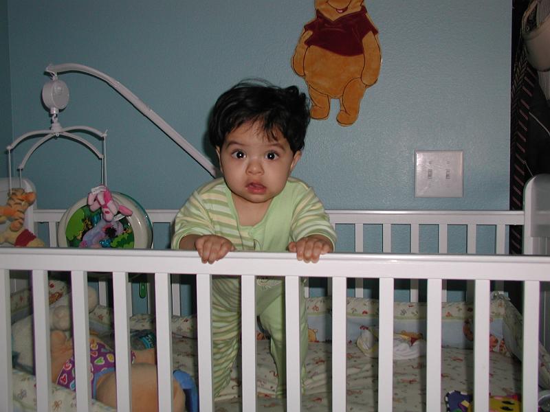 P3160096.JPG - What are you doing