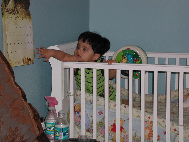 P3160097.JPG - Lets see if I can reach the calender