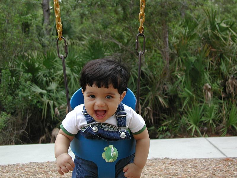 P3170100.JPG - The swing in the park