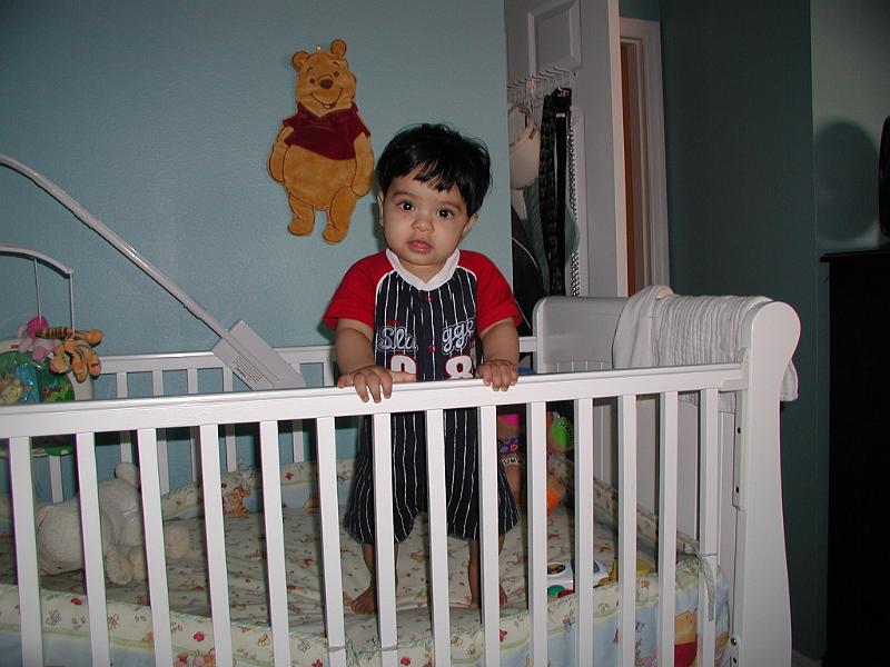 P3210105.JPG - Standing tall