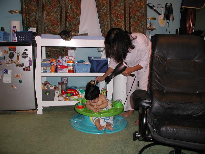 P3290111.JPG - Rohan getting his hair dried after bath. DC is looking on from above happy that it is not him.