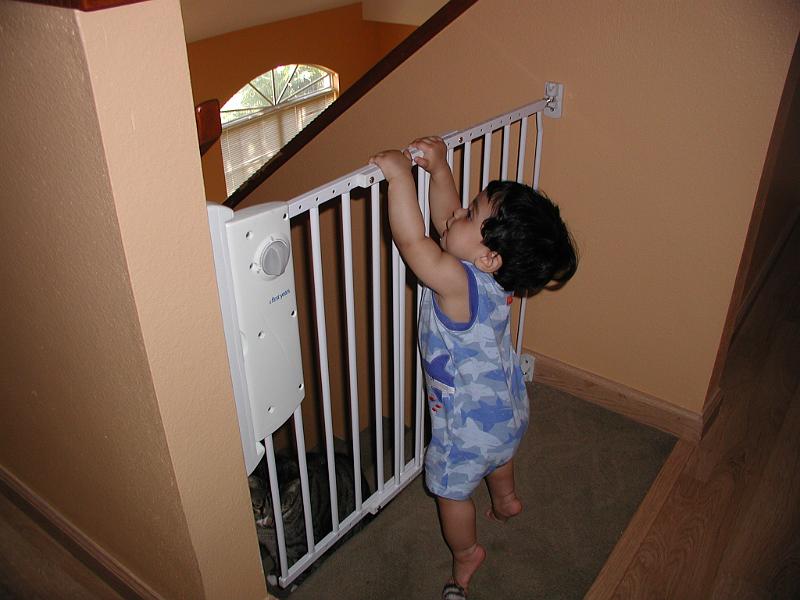 P3300116.JPG - Forget the ruler lets try hanging on the gate. Notice DC on the other side of the gate.