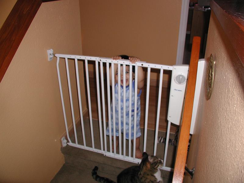 P3300117.JPG - Same kid, same cat just a different view