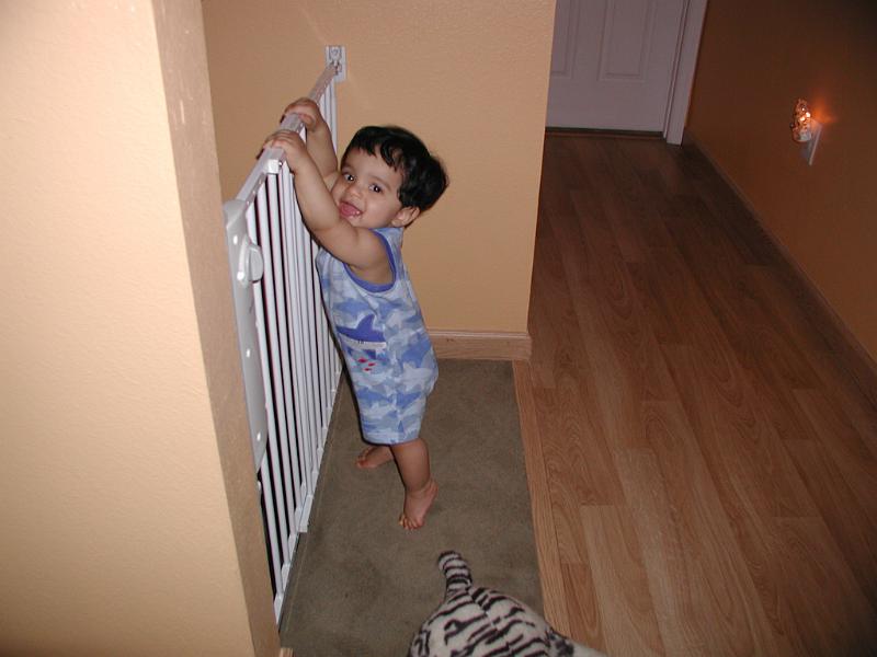 P3300118.JPG - Look at meeeeeeeeeee