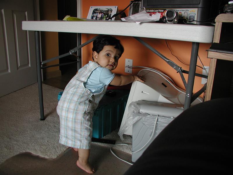 P4130127.JPG - Don't bother me. I am busy.