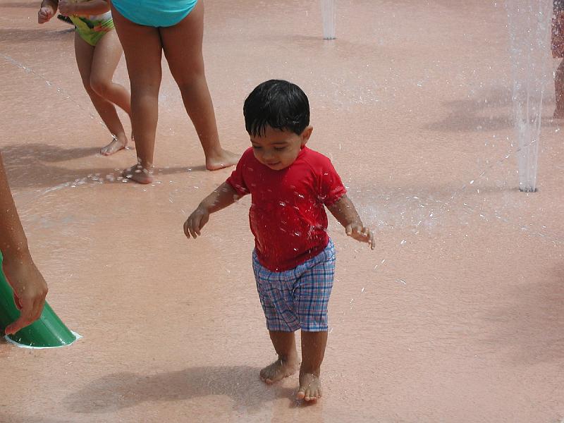 P8230146.JPG - Okay let us find another