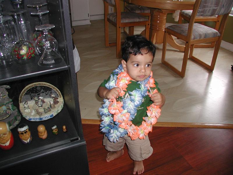 P8230162.JPG - Wearing garlands of flowers