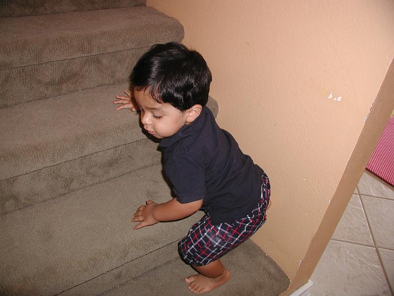 P9020179.JPG - One stair at a time