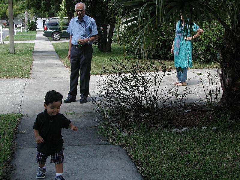 P9020192.JPG - When Rohan comes in from outside he likes to go for a walk in the neighbourhood