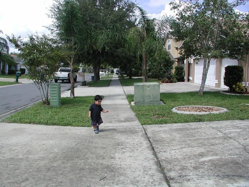 P9020193.JPG - Just walking along