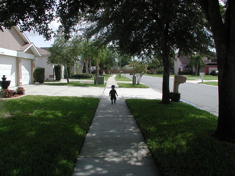 P9020196.JPG - And back he comes