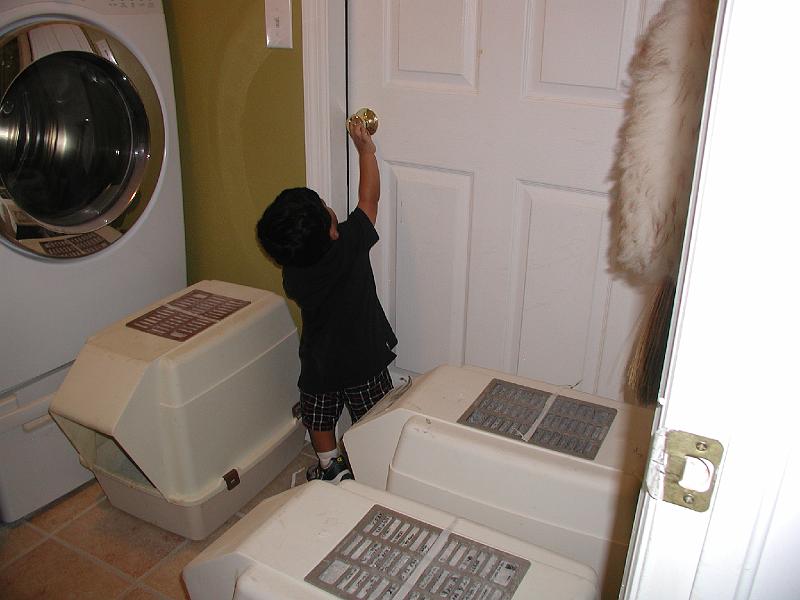 P9020199.JPG - And into the house