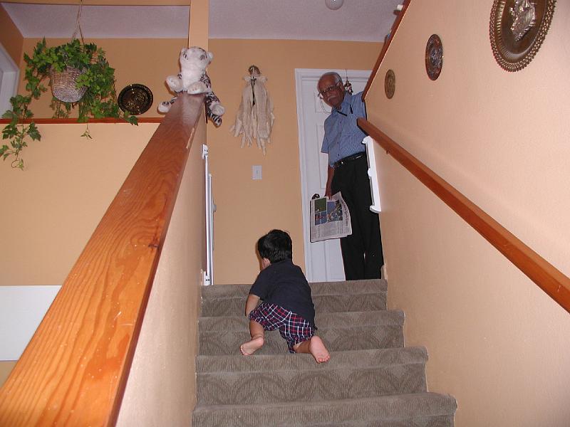 P9020205.JPG - Up the stairs